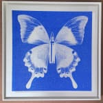 Rubem Robierb, Small Butterflies - Yellow on White