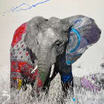 Arno Elias, Wild and Free - 3/9