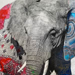 Arno Elias, Wild and Free - 3/9