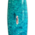 Cécile Plaisance, View from the Sky: PLANCHE Daddy Board (6,7") "Fins & Whale Shark")