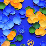 Larisa Safaryan, Waves of Imagination, 2025