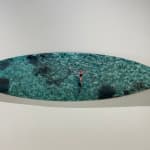 Cécile Plaisance, View from the Sky: PLANCHE Daddy Board (6,7") "Fins & Whale Shark")