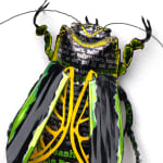 Thumbnail of additional image