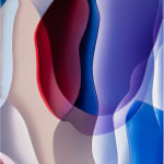 Peter Zimmermann, Raw- 01898, 2013