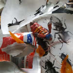 Thumbnail of additional image