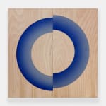 Peter Wegner, Buildings Made of Sky VI (Radio City), 2009