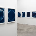 Fabiola Menchelli, Kyūbu, 2015