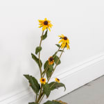 Tony Matelli, Yesterday 56, 2019