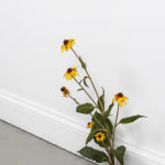 Tony Matelli, Yesterday 56, 2019