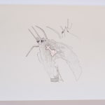 Joshua Drayzen, Wavelet, 2024