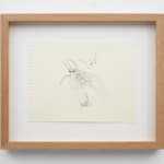 Joshua Drayzen, Wavelet, 2024