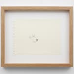 Joshua Drayzen, Wavelet, 2024