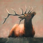 Les Thomas, Elk, 1999