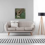 Allan Thomas, You've Changed