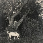 Allan Thomas, You've Changed