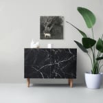 Allan Thomas, You've Changed