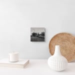 Allan Thomas, You've Changed