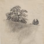 J.E.H. MacDonald, High Park, 1908