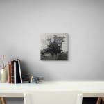 Allan Thomas, You've Changed