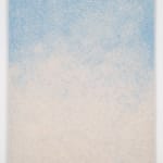 Fernando Mastrangelo, Salt (Miami)