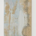 Fernando Mastrangelo, Salt (Miami)