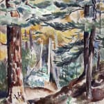 Jozef Bakos, Cottonwoods