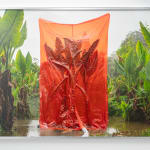 Julius von Bismarck, We Were All Naked (Red Elephant Ear), 2023