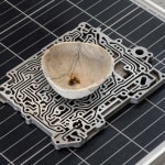 Nicolás Lamas, Nest, 2023