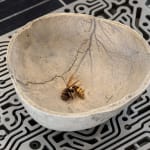 Nicolás Lamas, Nest, 2023