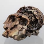 Nicolás Lamas, Posthuman portrait (Genesis), 2021