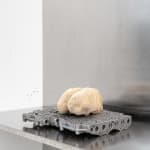 Nicolás Lamas, Litho-ergonomy, 2021