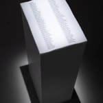 Pamela Rosenkranz, I Wish I Could Cry Blood (Focus Infinite), 2021