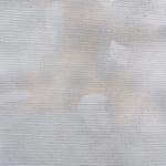 Nicolás Lamas, Litho-ergonomy, 2021