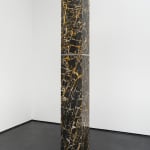 Nicolás Lamas, Posthuman portrait (Genesis), 2021