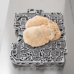 Nicolás Lamas, Litho-ergonomy, 2021