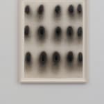 Sophronia Cook, N 400 P22R, 2024