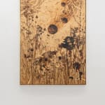 Julius von Bismarck, We Were All Naked (Red Elephant Ear), 2023