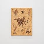 Julius von Bismarck, We Were All Naked (Red Elephant Ear), 2023