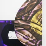 David Reed, #659 (Vice and Reflection), 1975/ 1996-2000/ 2007-2011/ 2014-2015/ 2015-2016/ 2016