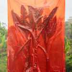 Julius von Bismarck, We Were All Naked (Red Elephant Ear), 2023