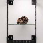 Nicolás Lamas, Posthuman portrait (Genesis), 2021