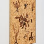 Julius von Bismarck, We Were All Naked (Red Elephant Ear), 2023
