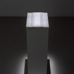 Pamela Rosenkranz, I Wish I Could Cry Blood (Focus Infinite), 2021