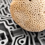 Nicolás Lamas, Litho-ergonomy, 2021