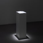 Pamela Rosenkranz, I Wish I Could Cry Blood (Focus Infinite), 2021