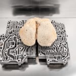 Nicolás Lamas, Litho-ergonomy, 2021