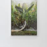 Julius von Bismarck, We Were All Naked (Red Elephant Ear), 2023