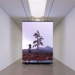 Troika, Path of Least Resistance, 2014