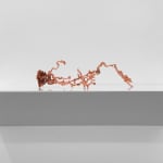 Nicolás Lamas, Nest, 2023