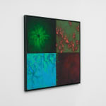 Natacha Donzé, Repository, polarization, 2023